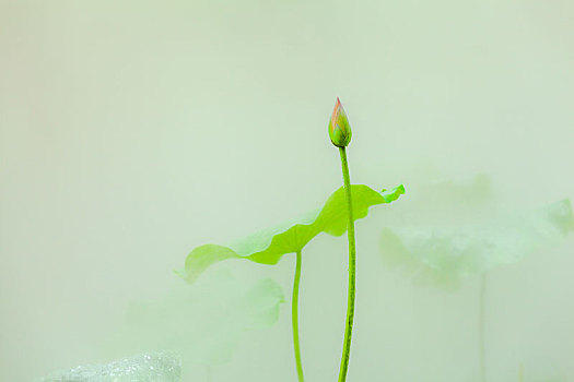 soi cầu đề bạch thủ hôm nay