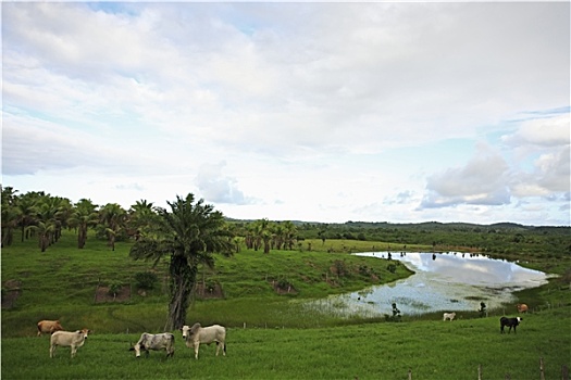 trang lode uy tin