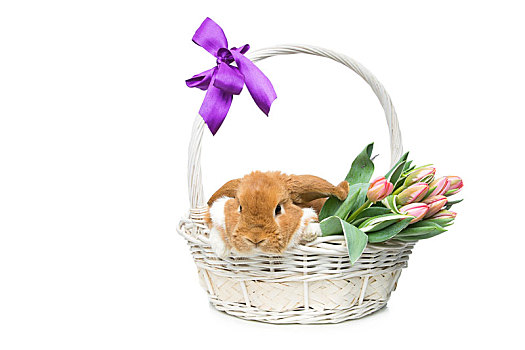dự đoán xổ số quảng ngãi