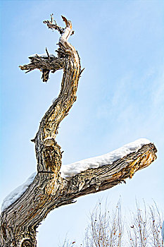 dự đoán số miền bắc